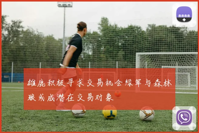 雄鹿积极寻求交易机会绿军与森林狼或成潜在交易对象