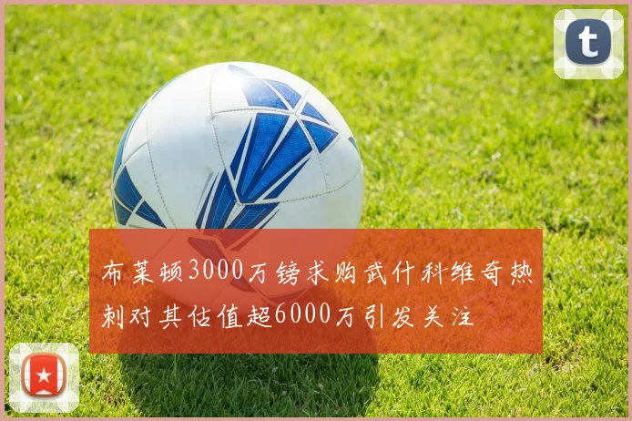 布莱顿3000万镑求购武什科维奇热刺对其估值超6000万引发关注