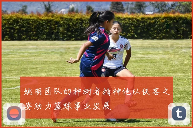 姚明团队的种树者精神他以侠客之姿助力篮球事业发展